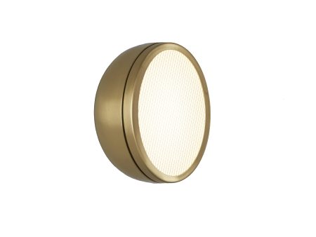 Molly LED Wall Ceiling Light on Sale