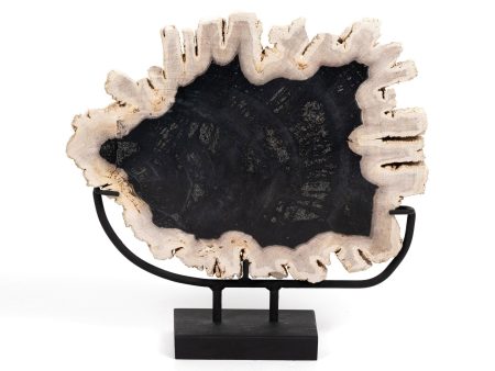 Petrified Wood Sculpture Supply