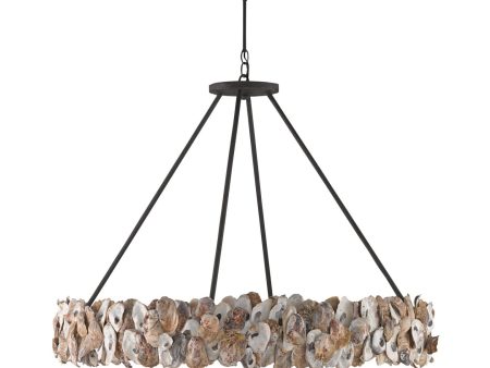 Oyster Shell Chandelier Online