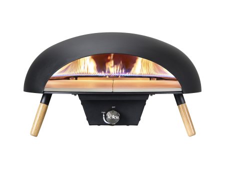 Turtle Gas Powered Pizza Oven Discount