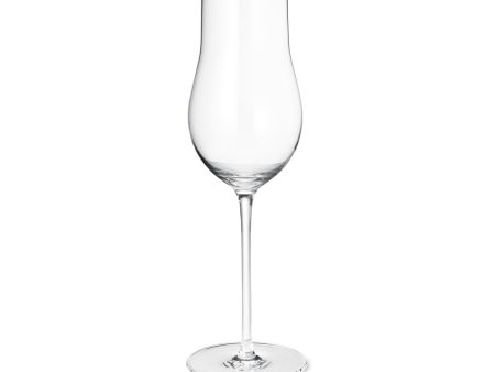 Sky Champagne Flute Glass (Set of 6) Cheap