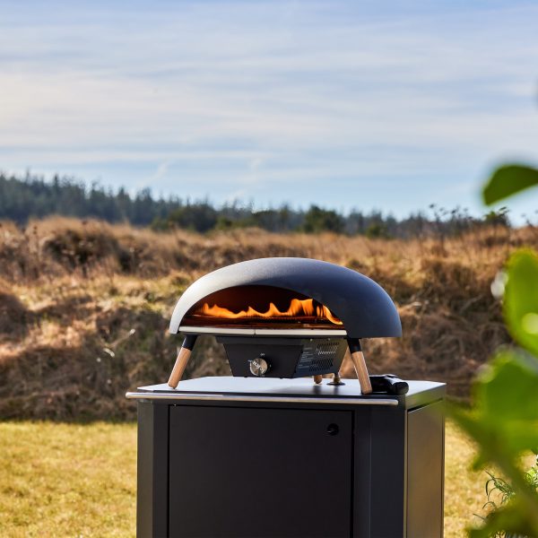 Turtle Gas Powered Pizza Oven Discount