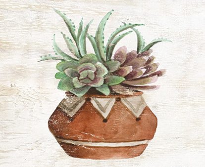 CIN1744 - Southwest Terracotta Succulents II - 12x16 For Sale