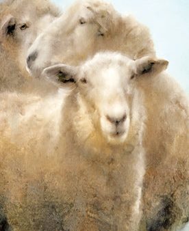 BLUE410 - Three Sheep Portrait - 9x18 Online