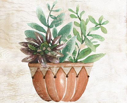 CIN1743 - Southwest Terracotta Succulents I - 12x16 Online